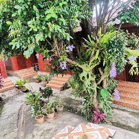 Kongkeo Guesthouse Muang Phônsavan エクステリア 写真